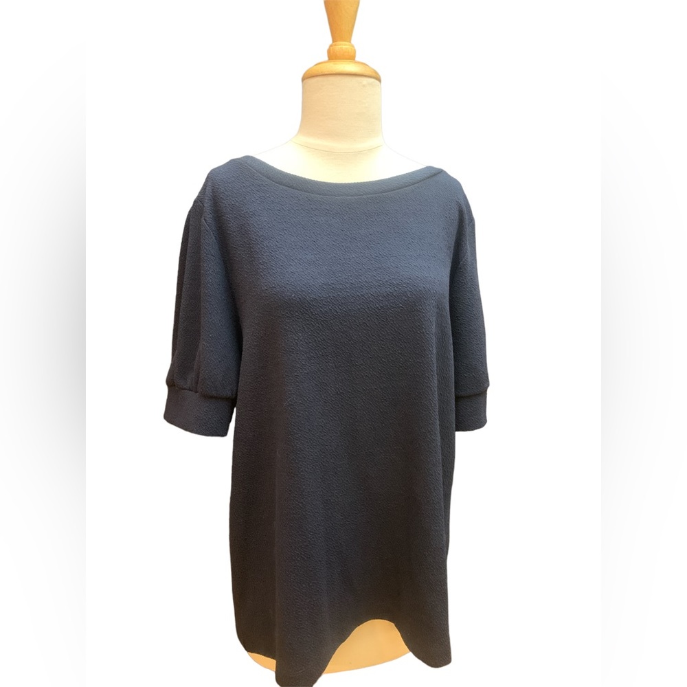 NWT, Ann Taylor Loft shirt sleeve top